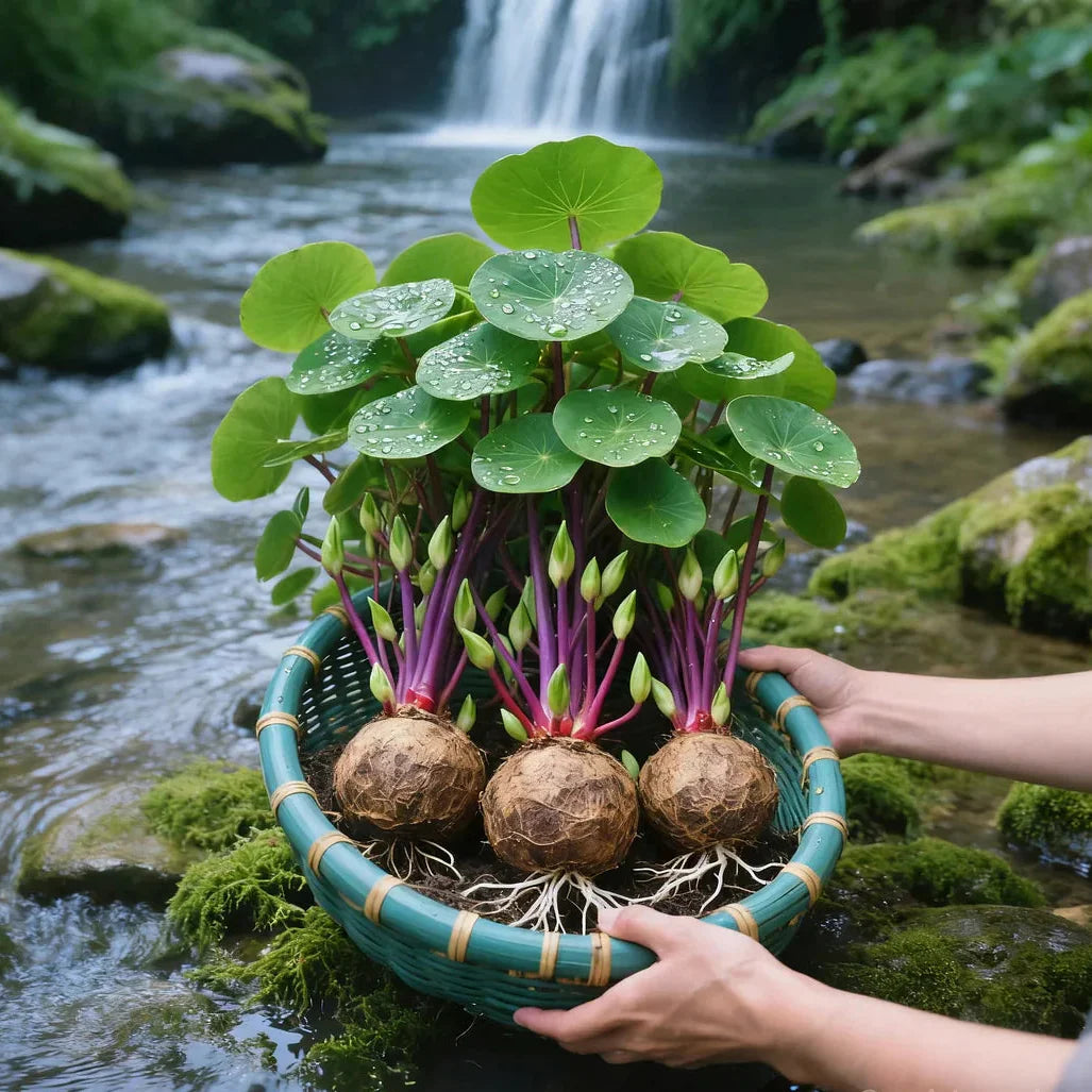 UrbanLeaf – Plante d'intérieur élégante et facile d'entretien