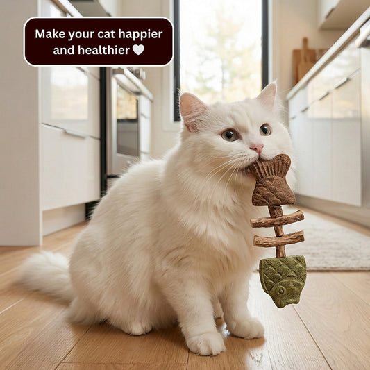 PurrJoy – Bâtonnets à mâcher à l'herbe à chat et à la vigne argentée