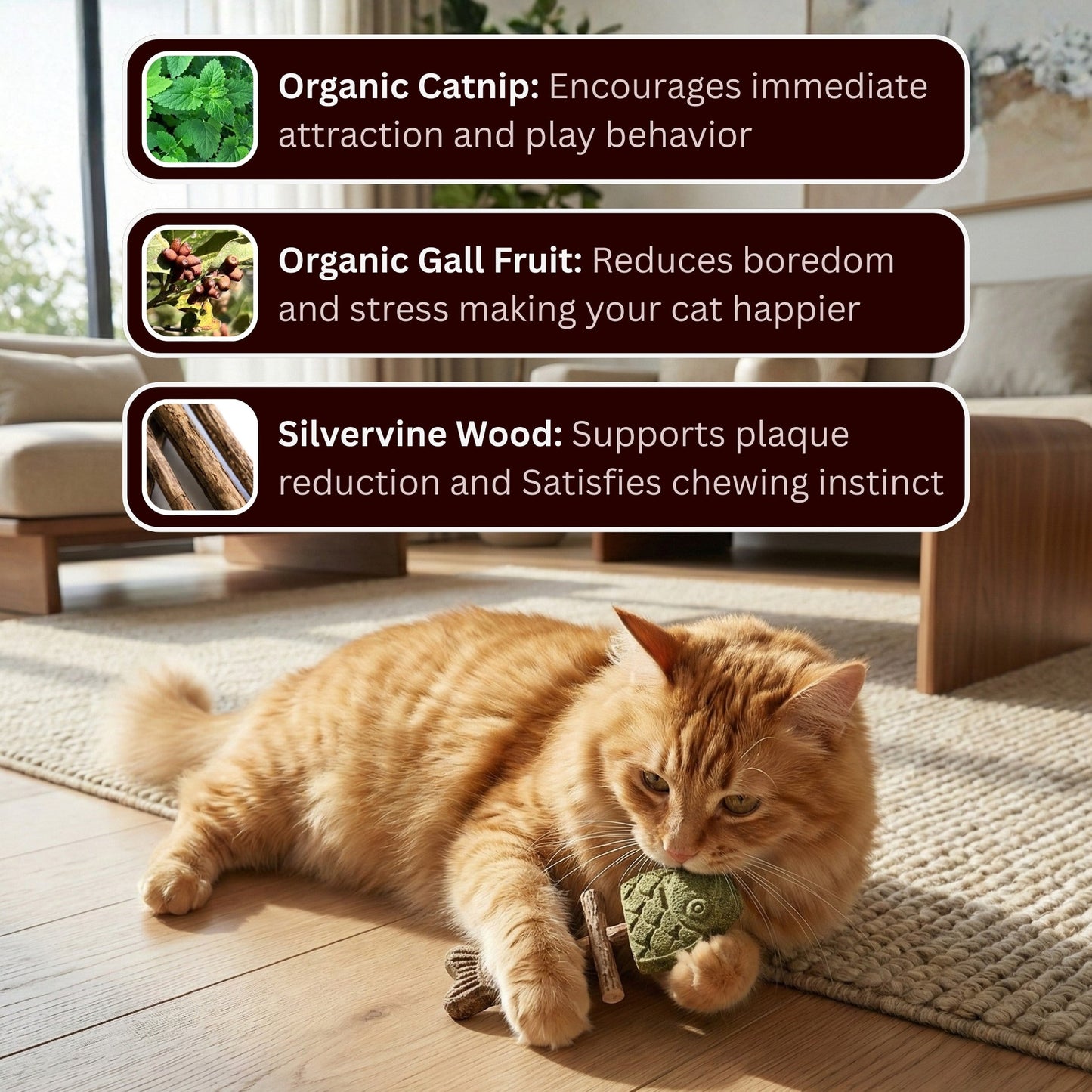 PurrJoy – Bâtonnets à mâcher à l'herbe à chat et à la vigne argentée