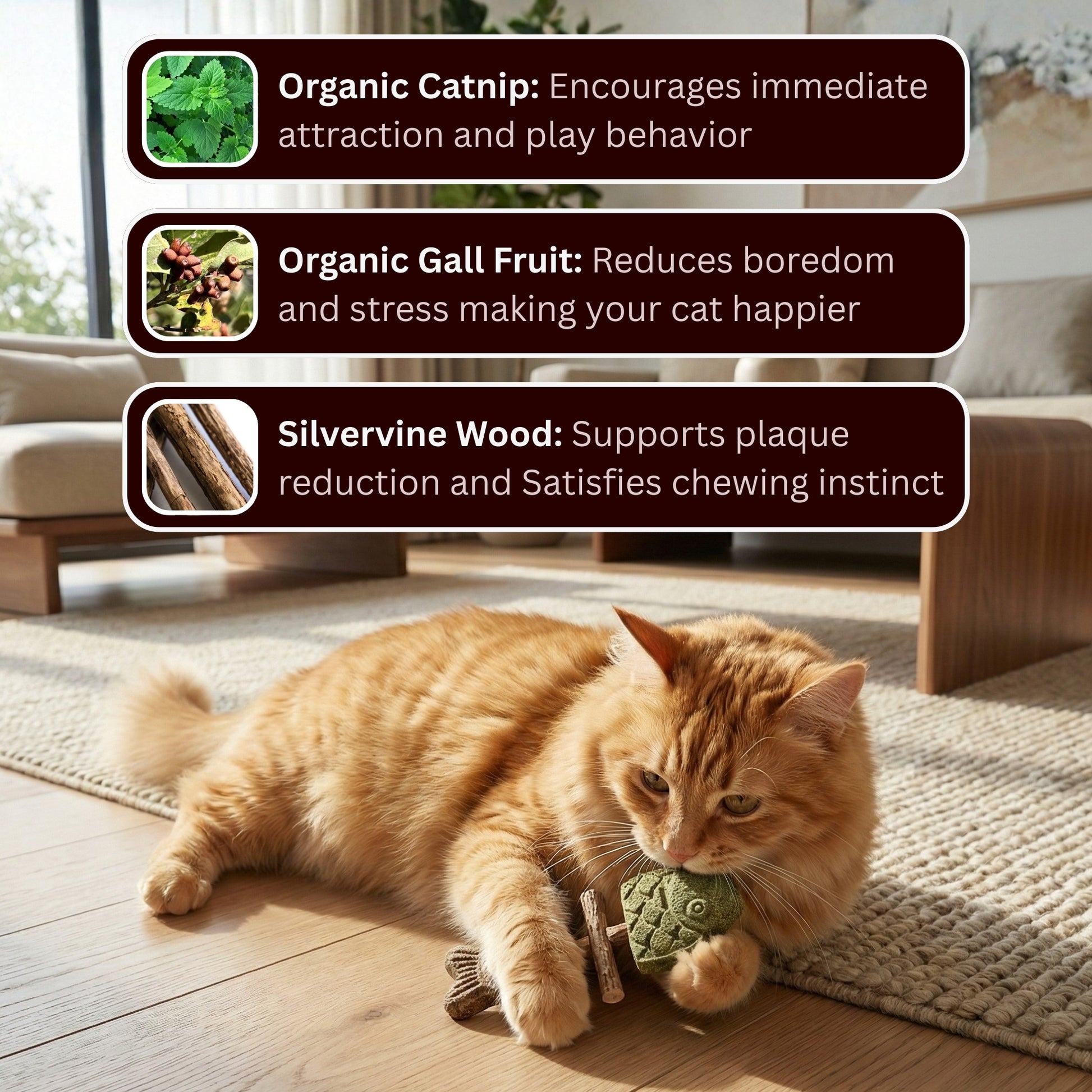 PurrJoy – Bâtonnets à mâcher à l'herbe à chat et à la vigne argentée